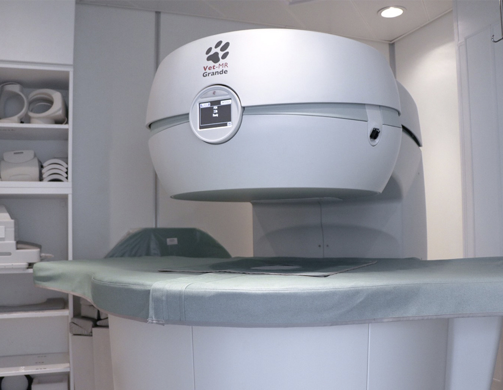 MRI CENTER – โรงพยาบาลสัตว์ ทีเอช